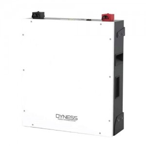 Dyness 5.12kWh 100Ah LiFePo4 Battery – BX51100