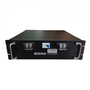 ECCO 25.6V 100Ah 2.56kWh Lithium Ion Battery LFELI-24100T